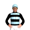 Jockey Silk