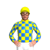 Jockey Silk