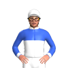Jockey Silk