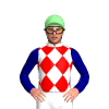 Jockey Silk