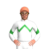 Jockey Silk