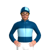 Jockey Silk