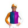 Jockey Silk