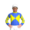 Jockey Silk
