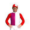 Jockey Silk