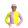 Jockey Silk