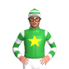 Jockey Silk