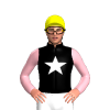 Jockey Silk