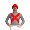 Jockey Silk