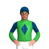 Jockey Silk