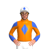 Jockey Silk