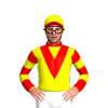 Jockey Silk