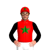 Jockey Silk