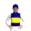 Jockey Silk