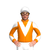Jockey Silk