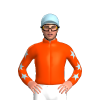 Jockey Silk