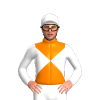 Jockey Silk