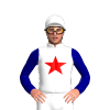 Jockey Silk