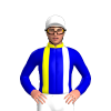 Jockey Silk