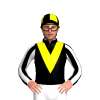Black, Yellow Vee, Black And White Striped Sleeves, Black And Yellow Quartered Cap