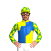 Jockey Silk