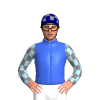 Jockey Silk