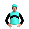 Jockey Silk