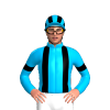 Jockey Silk