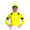 Jockey Silk