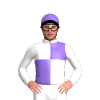 Jockey Silk