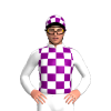 Jockey Silk