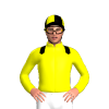 Jockey Silk