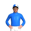 Jockey Silk