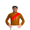 Jockey Silk