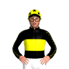 Jockey Silk