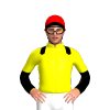 Jockey Silk