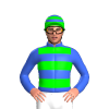 Jockey Silk