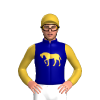 Jockey Silk