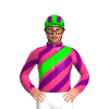 Jockey Silk