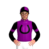 Jockey Silk