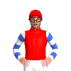 Jockey Silk