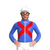 Jockey Silk