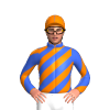 Jockey Silk