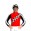 Jockey Silk