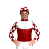 Jockey Silk