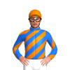 Jockey Silk