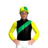 Jockey Silk