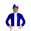 Jockey Silk