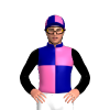 Jockey Silk