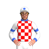 Jockey Silk